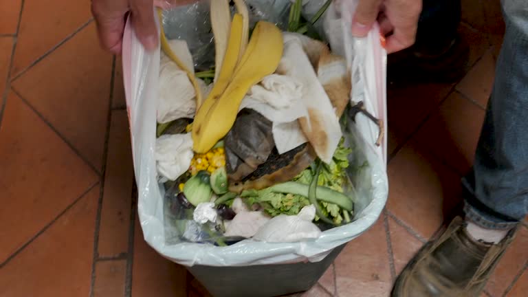 Best Same-Day Junk Removal Services  in Vero Lake Estates, FL